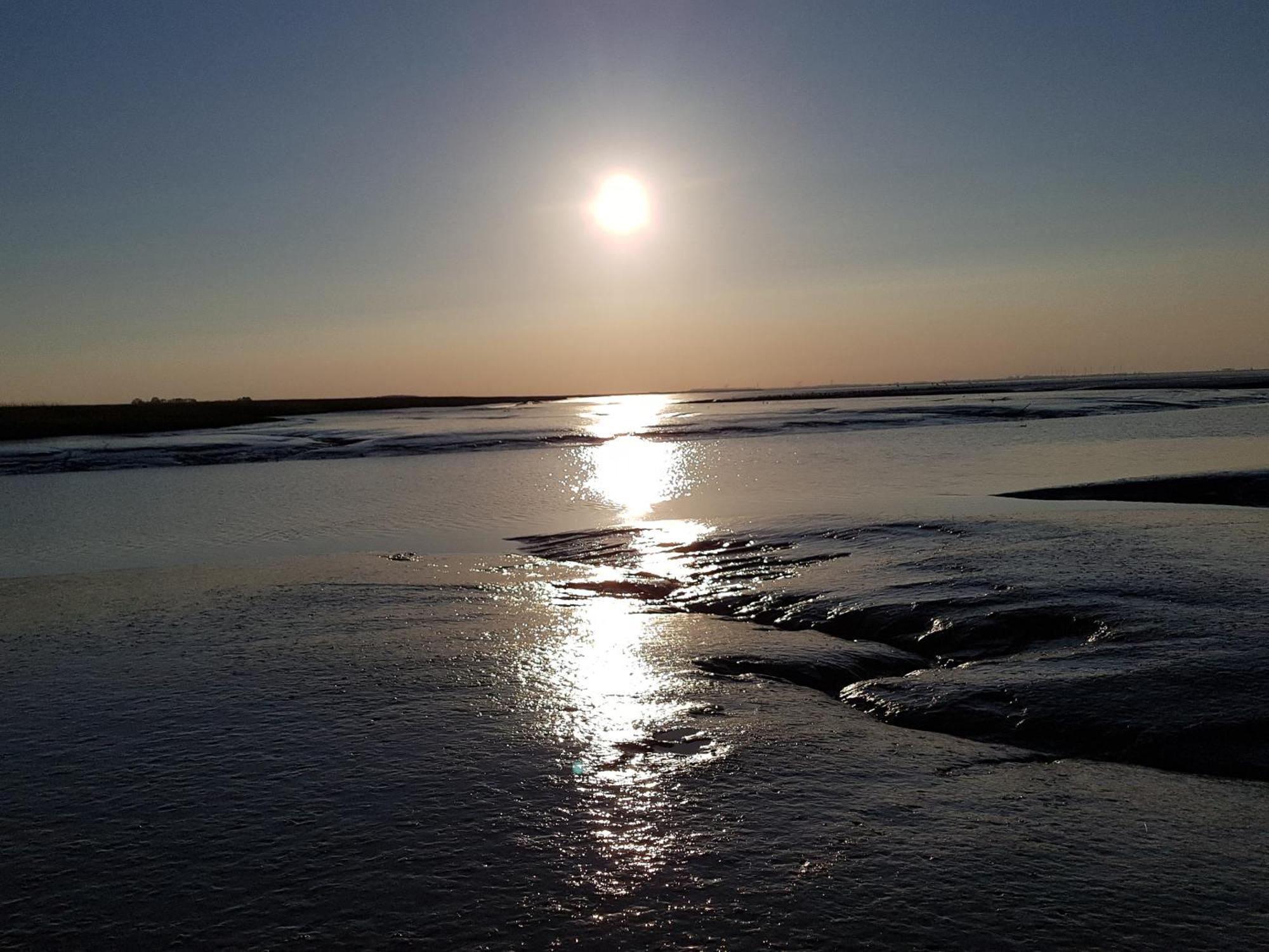 Bed & Breakfast Rheiderland Ditzumerverlaat Екстер'єр фото